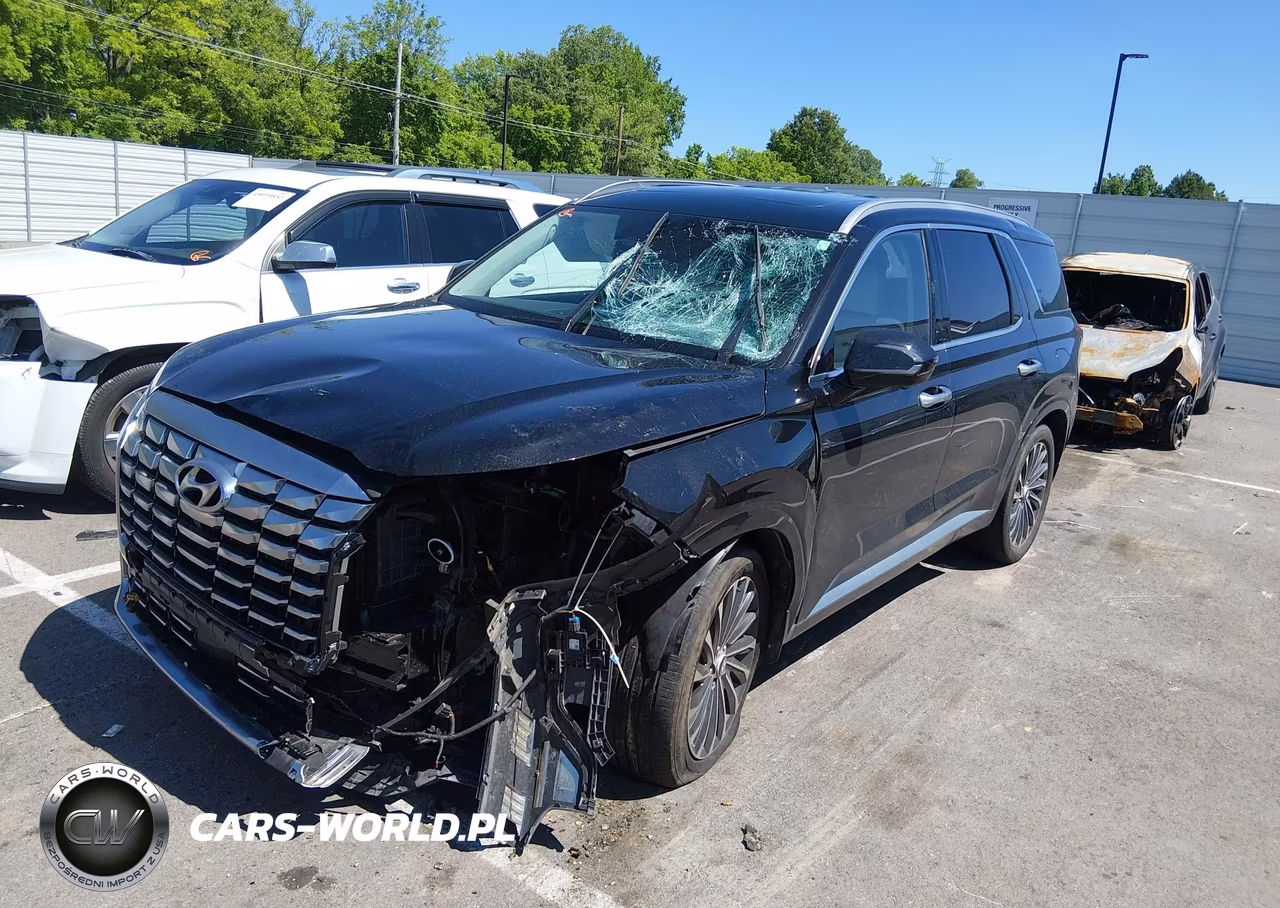 2023 Hyundai Palisade Calligraphy VIN:KM8R74GE1PU639028 - 2