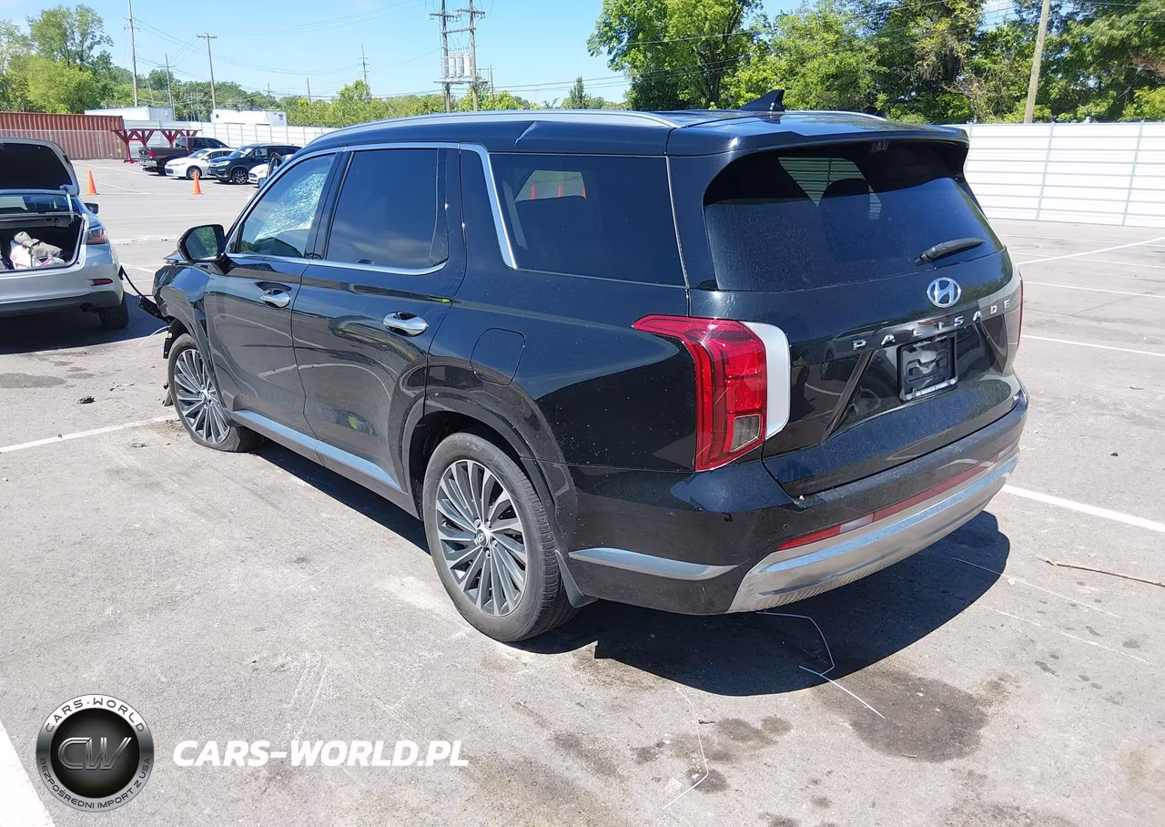 2023 Hyundai Palisade Calligraphy VIN:KM8R74GE1PU639028 - 3
