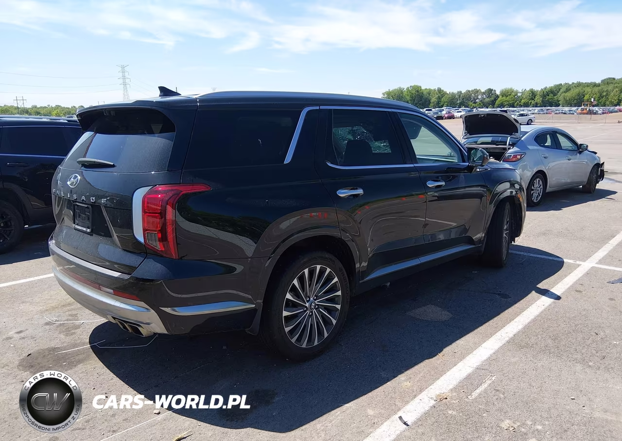2023 Hyundai Palisade Calligraphy VIN:KM8R74GE1PU639028 - 4