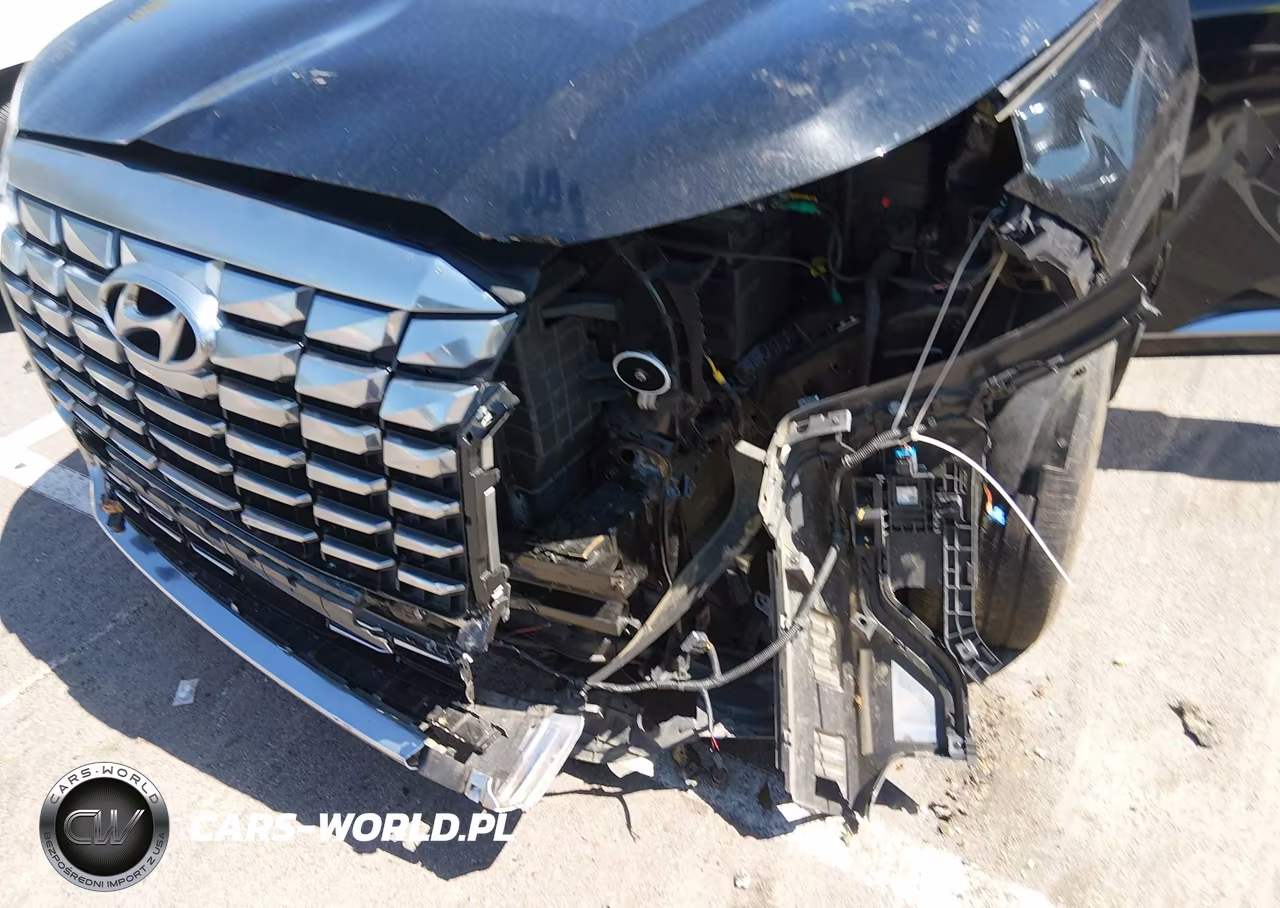 2023 Hyundai Palisade Calligraphy VIN:KM8R74GE1PU639028 - 6