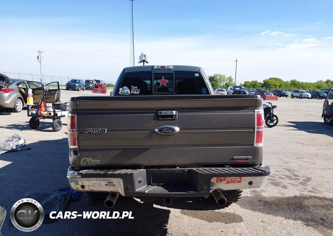 2013 Ford F-150 Xlt VIN:1FTFX1EF0DKF85035 - 17