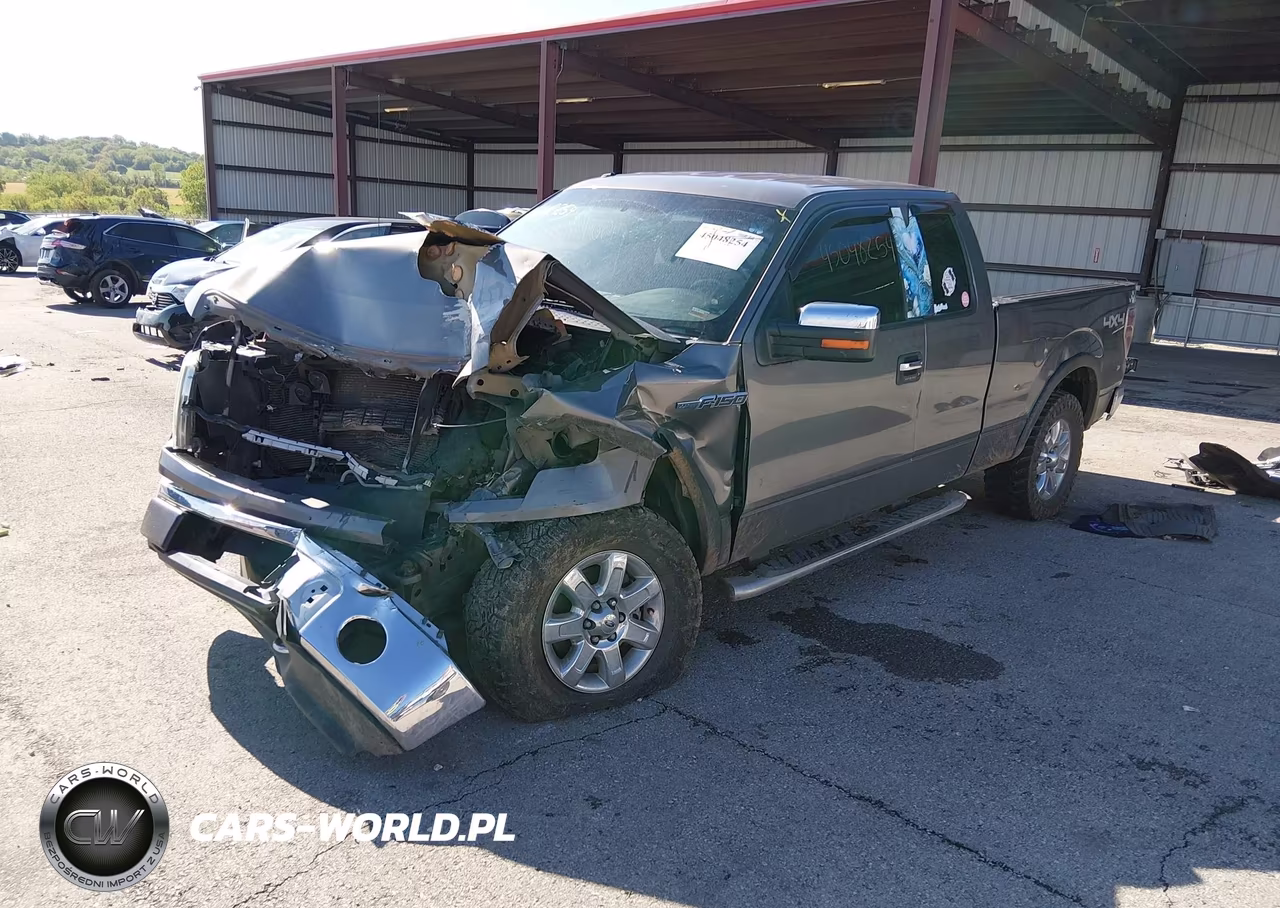 2013 Ford F-150 Xlt VIN:1FTFX1EF0DKF85035 - 2