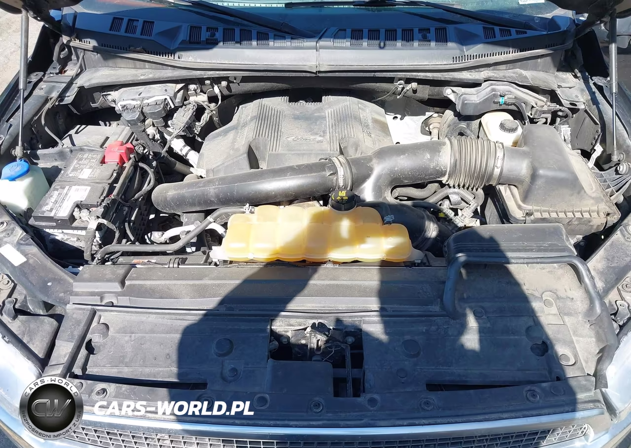 2018 Ford F-150 Platinum VIN:1FTEW1EG4JFE76220 - 10