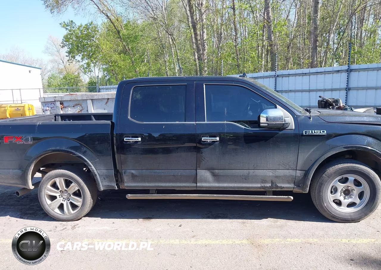 2018 Ford F-150 Platinum VIN:1FTEW1EG4JFE76220 - 13