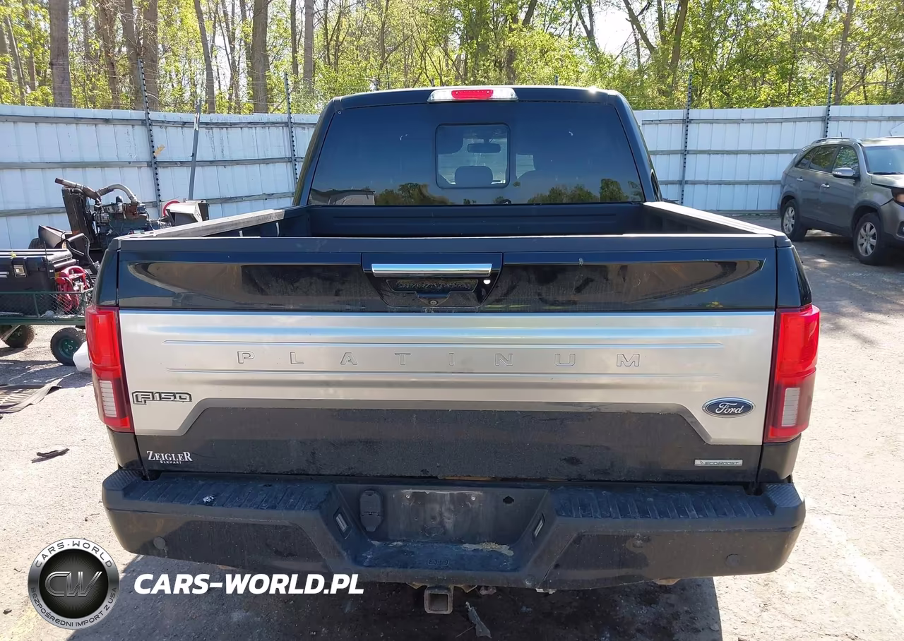 2018 Ford F-150 Platinum VIN:1FTEW1EG4JFE76220 - 16