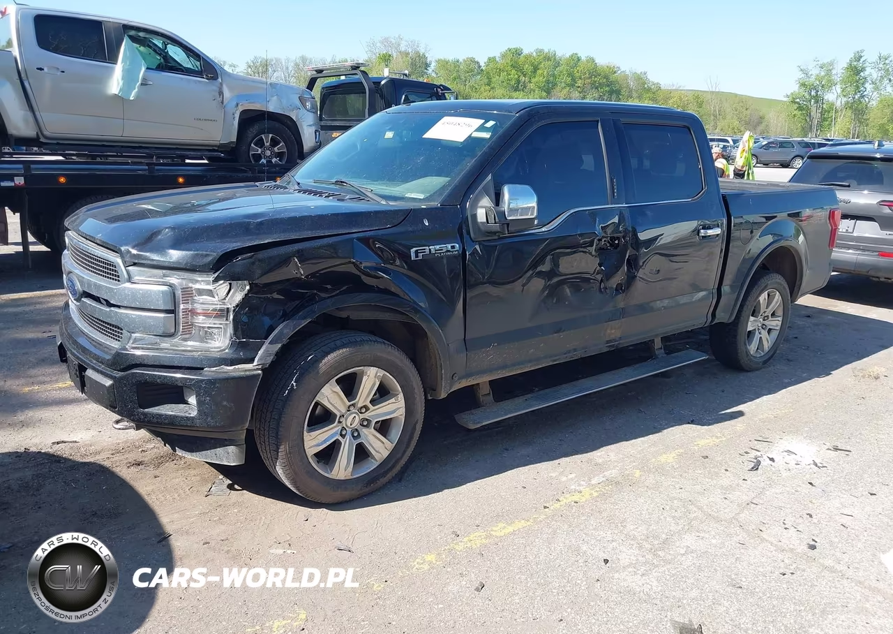 2018 Ford F-150 Platinum VIN:1FTEW1EG4JFE76220 - 2