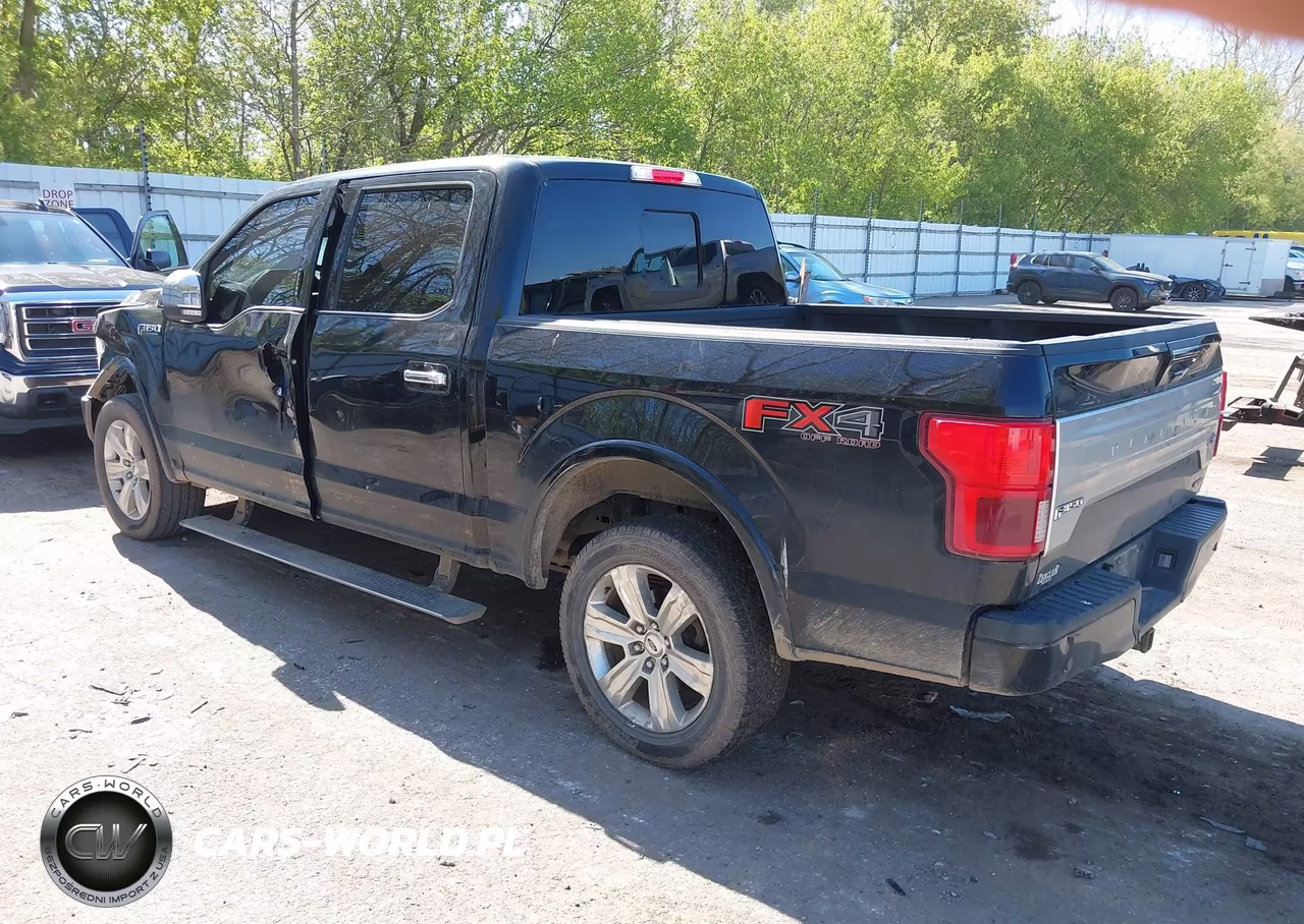 2018 Ford F-150 Platinum VIN:1FTEW1EG4JFE76220 - 3