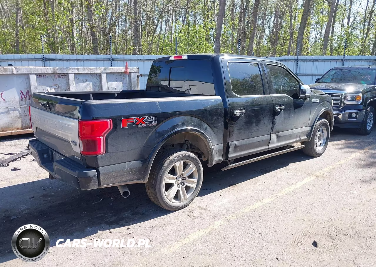 2018 Ford F-150 Platinum VIN:1FTEW1EG4JFE76220 - 4