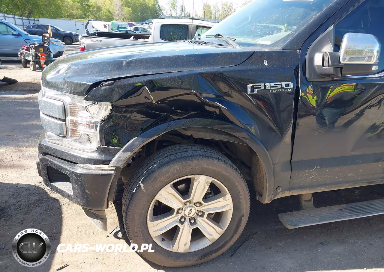 2018 Ford F-150 Platinum VIN:1FTEW1EG4JFE76220 - 6