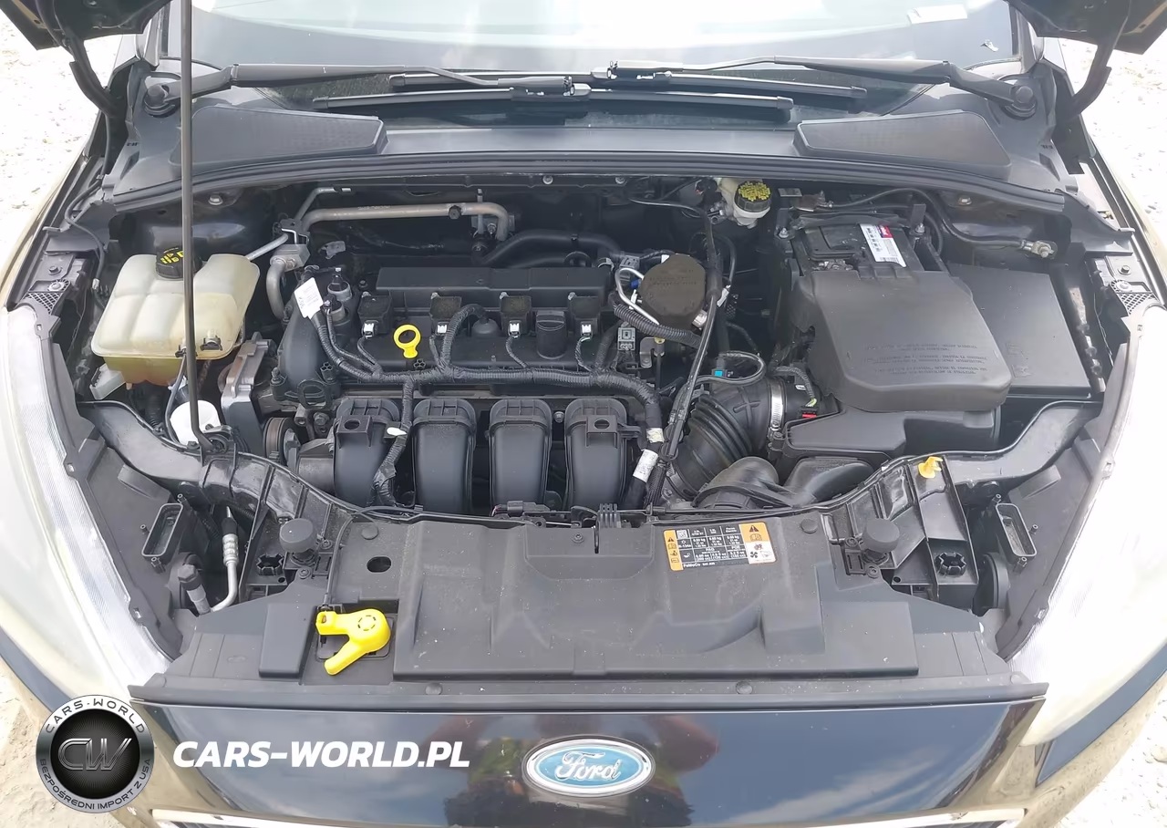 2015 Ford Focus Se VIN:1FADP3F23FL280582 - 10