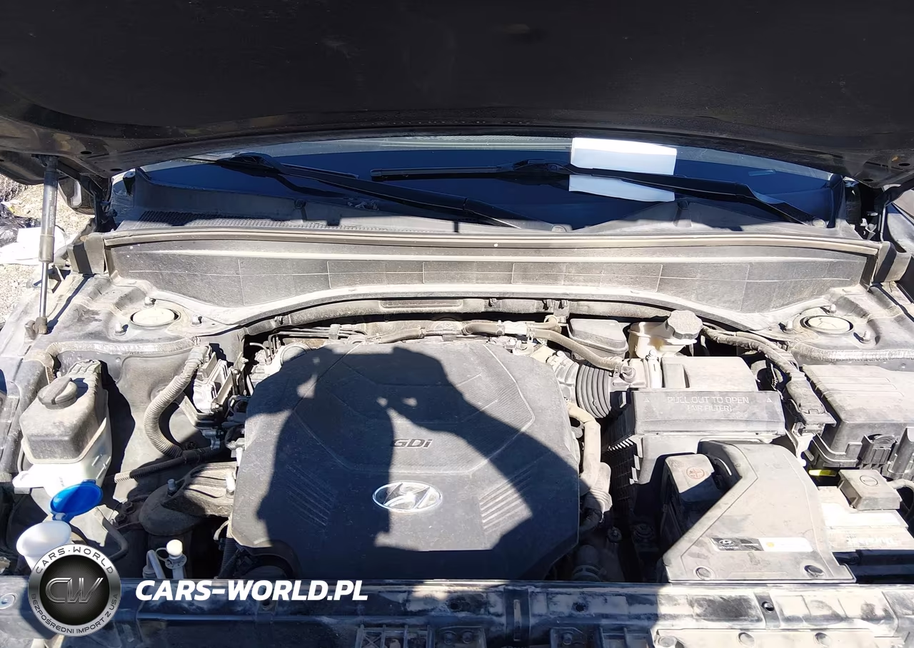2020 Hyundai Palisade Limited VIN:KM8R5DHE0LU172053 - 10