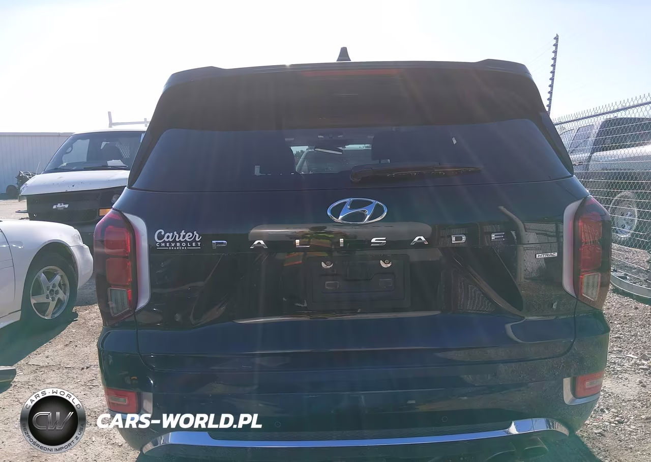 2020 Hyundai Palisade Limited VIN:KM8R5DHE0LU172053 - 17