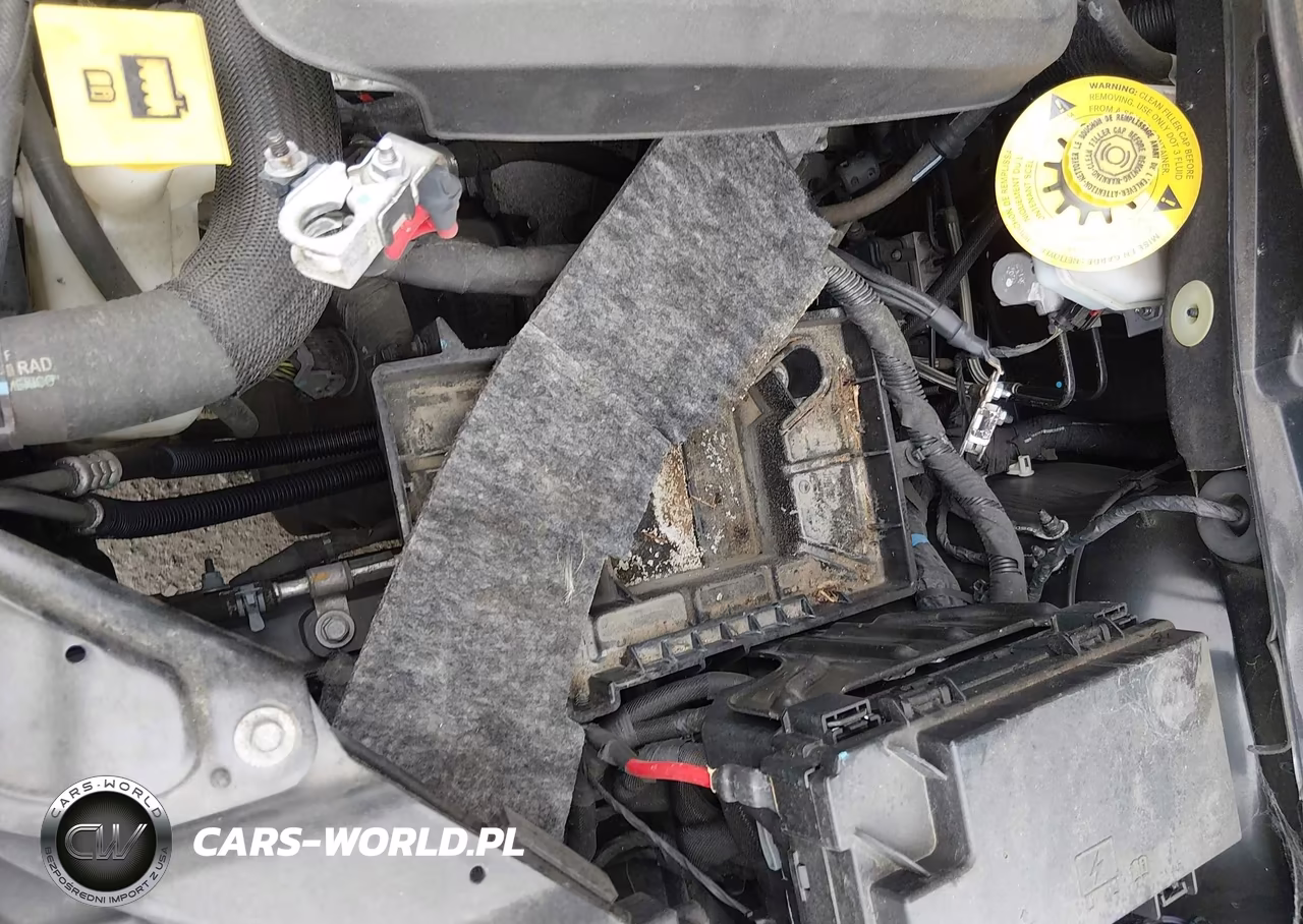 2020 Dodge Grand Caravan Sxt VIN:2C4RDGCG0LR194195 - 11