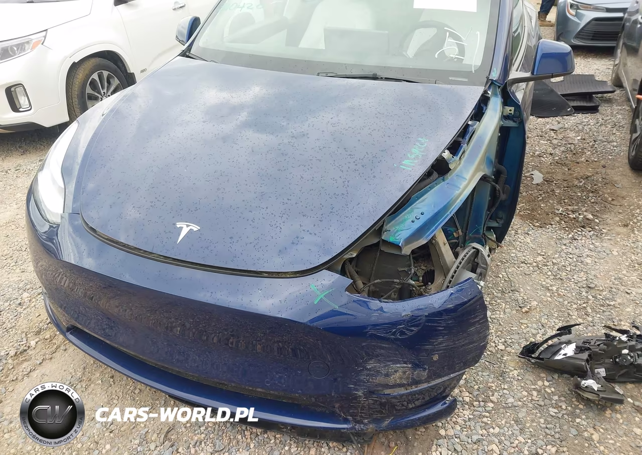 2022 Tesla Model Y Long Range Dual Motor All-Wheel Drive VIN:7SAYGDEE6NF310420 - 6