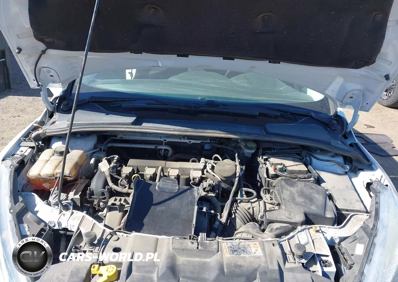 2016 Ford Focus Se VIN:1FADP3K25GL297696 - 10