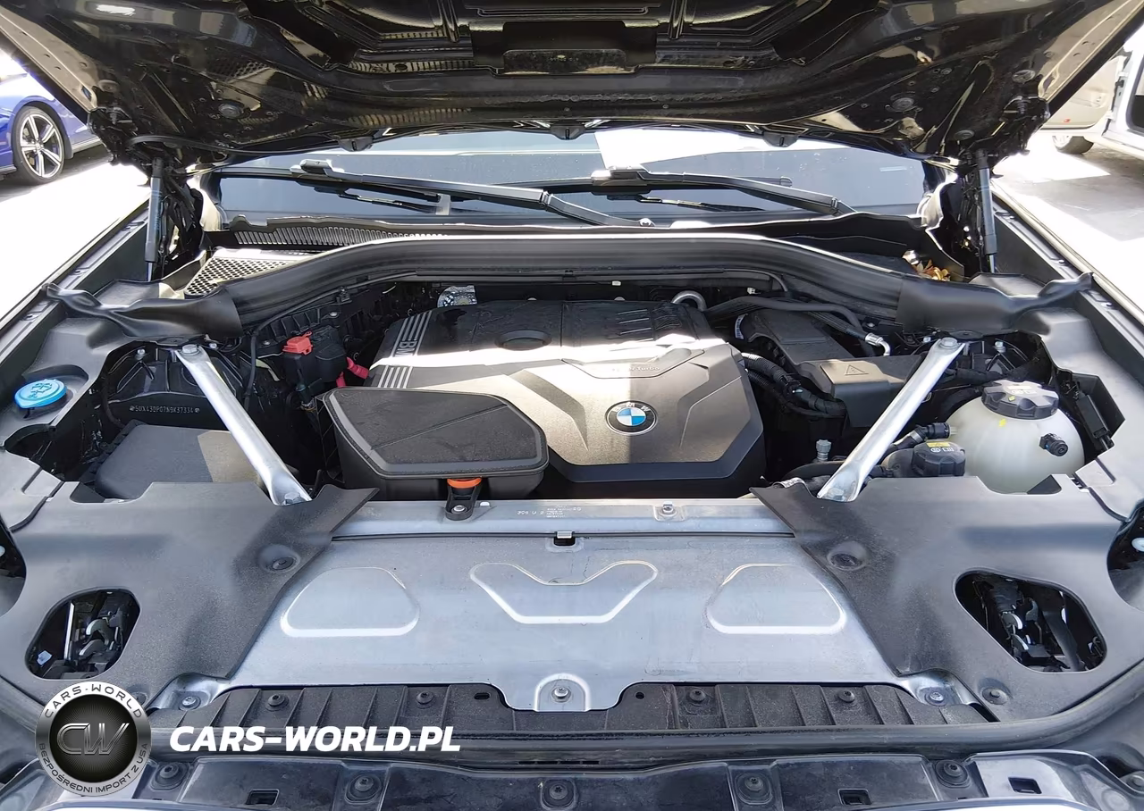 2022 BMW X3 Sdrive30I VIN:5UX43DP07N9K37334 - 10