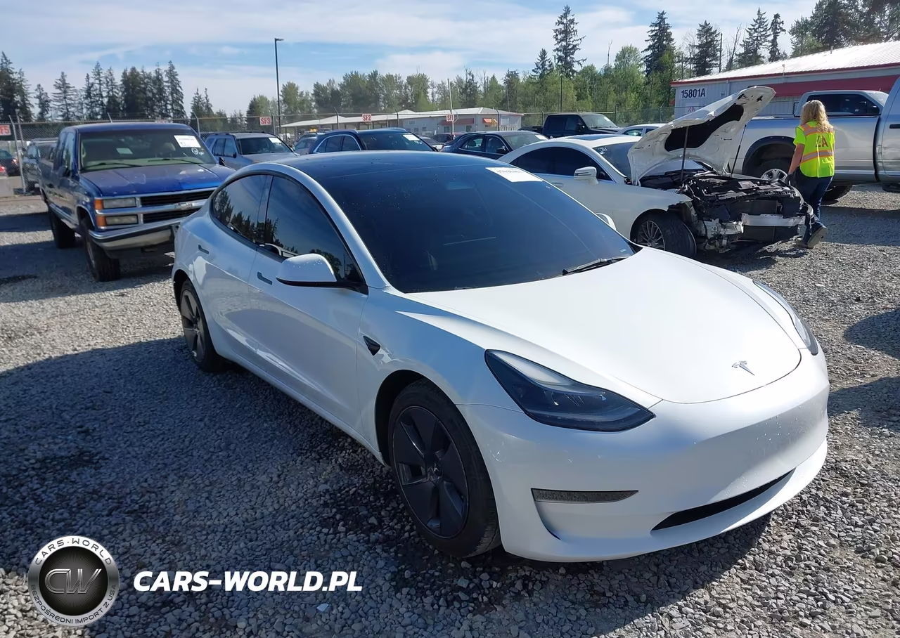 2023 Tesla Model 3 Rear-Wheel Drive