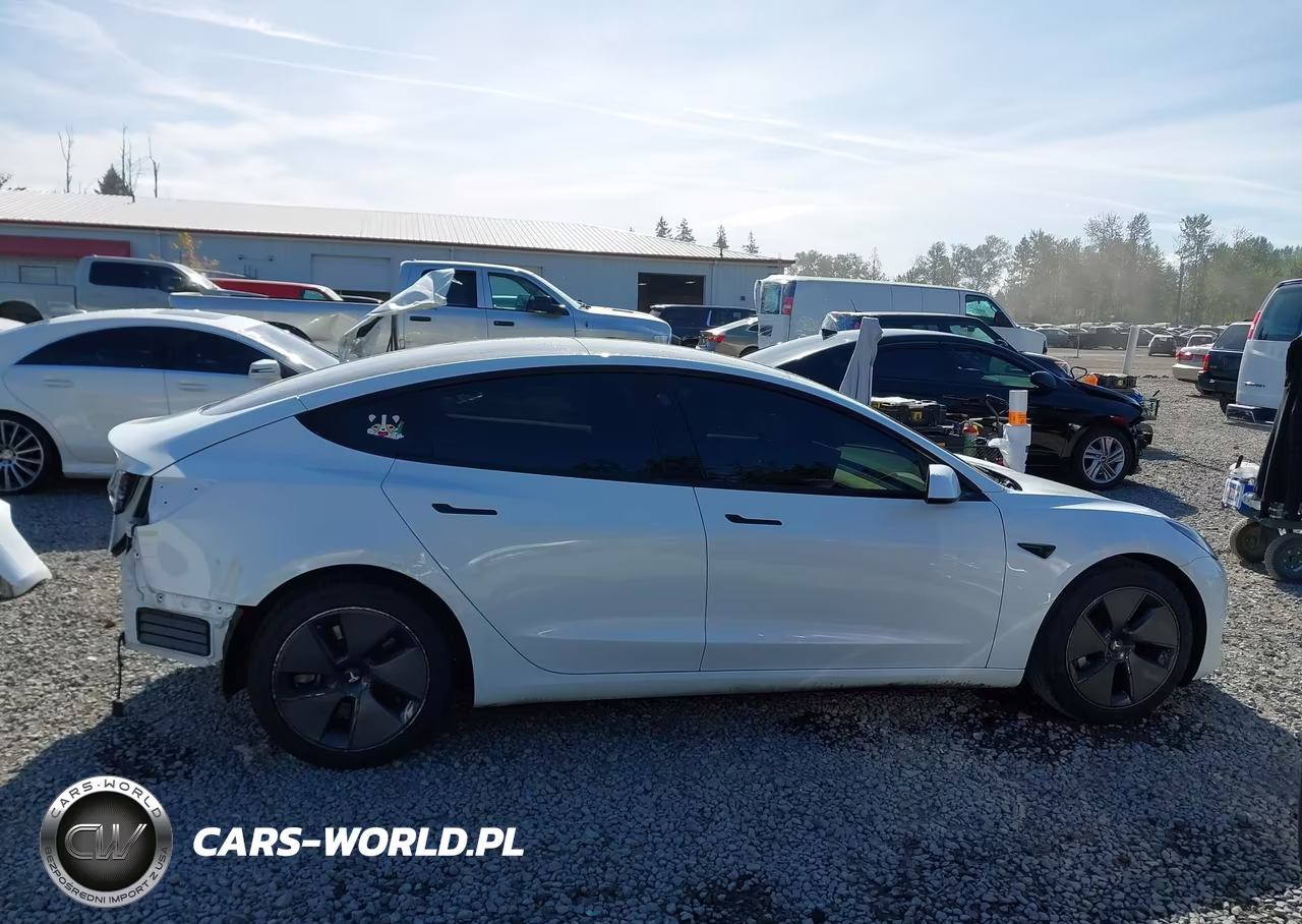 2023 Tesla Model 3 Rear-Wheel Drive VIN:5YJ3E1EA7PF428598 - 14