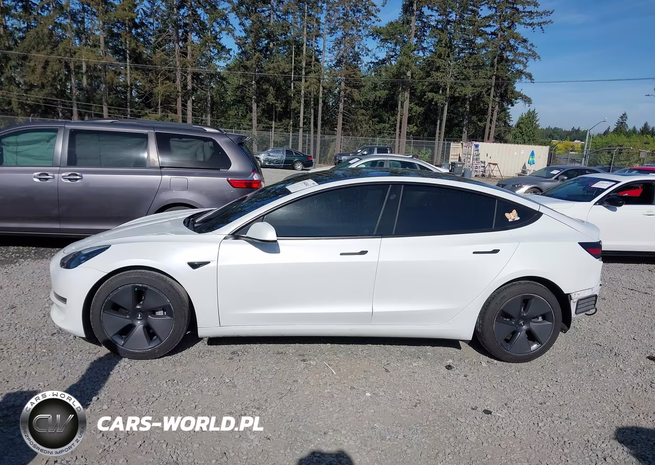 2023 Tesla Model 3 Rear-Wheel Drive VIN:5YJ3E1EA7PF428598 - 15