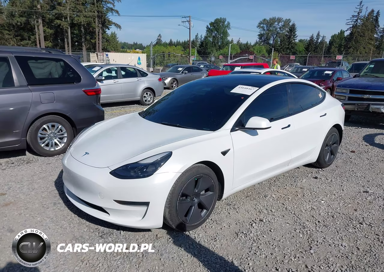 2023 Tesla Model 3 Rear-Wheel Drive VIN:5YJ3E1EA7PF428598 - 2