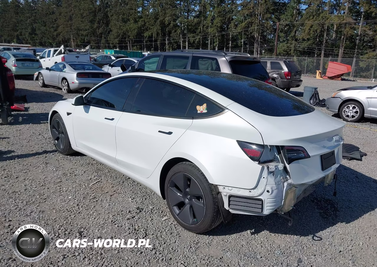 2023 Tesla Model 3 Rear-Wheel Drive VIN:5YJ3E1EA7PF428598 - 3