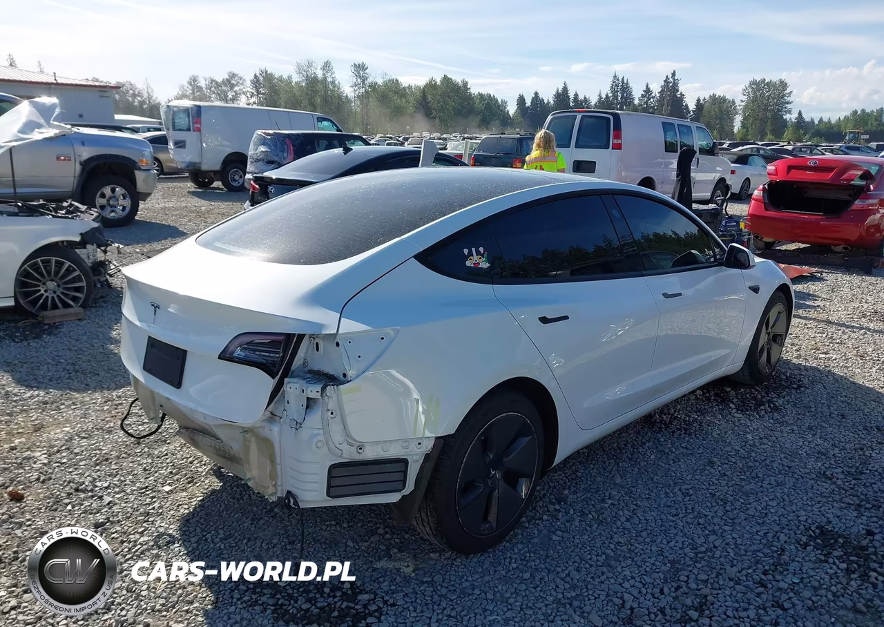 2023 Tesla Model 3 Rear-Wheel Drive VIN:5YJ3E1EA7PF428598 - 4