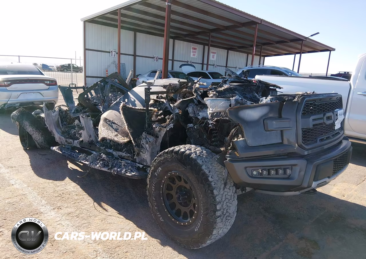 2018 Ford F-150 Raptor – zdjęcie 1 z 10