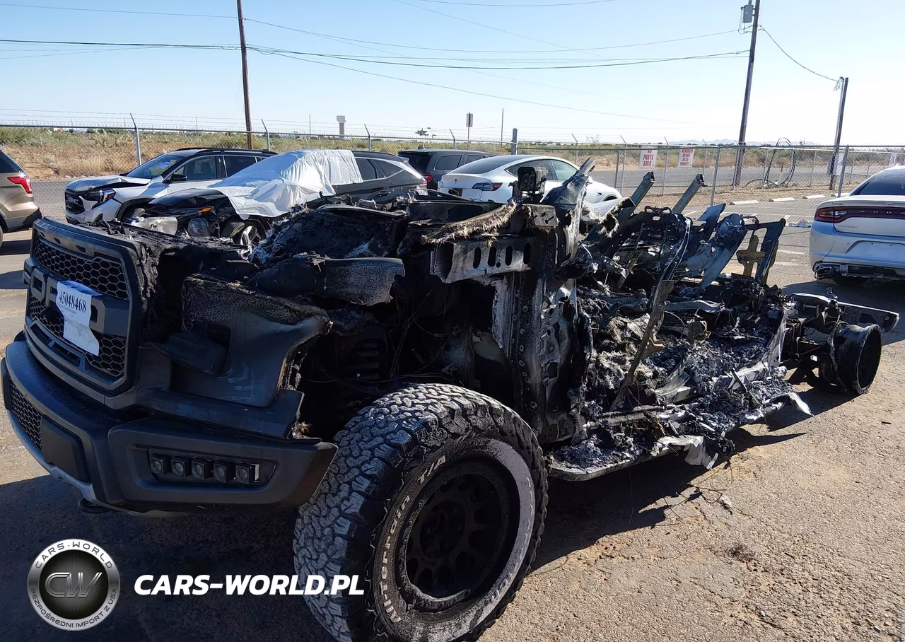 2018 Ford F-150 Raptor VIN:1FTFW1RG3JFD73627 - 6