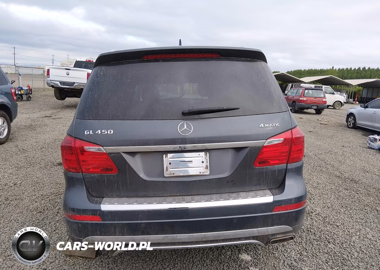 2014 Mercedes-Benz Gl 450 4Matic VIN:4JGDF7CE6EA362329 - 17