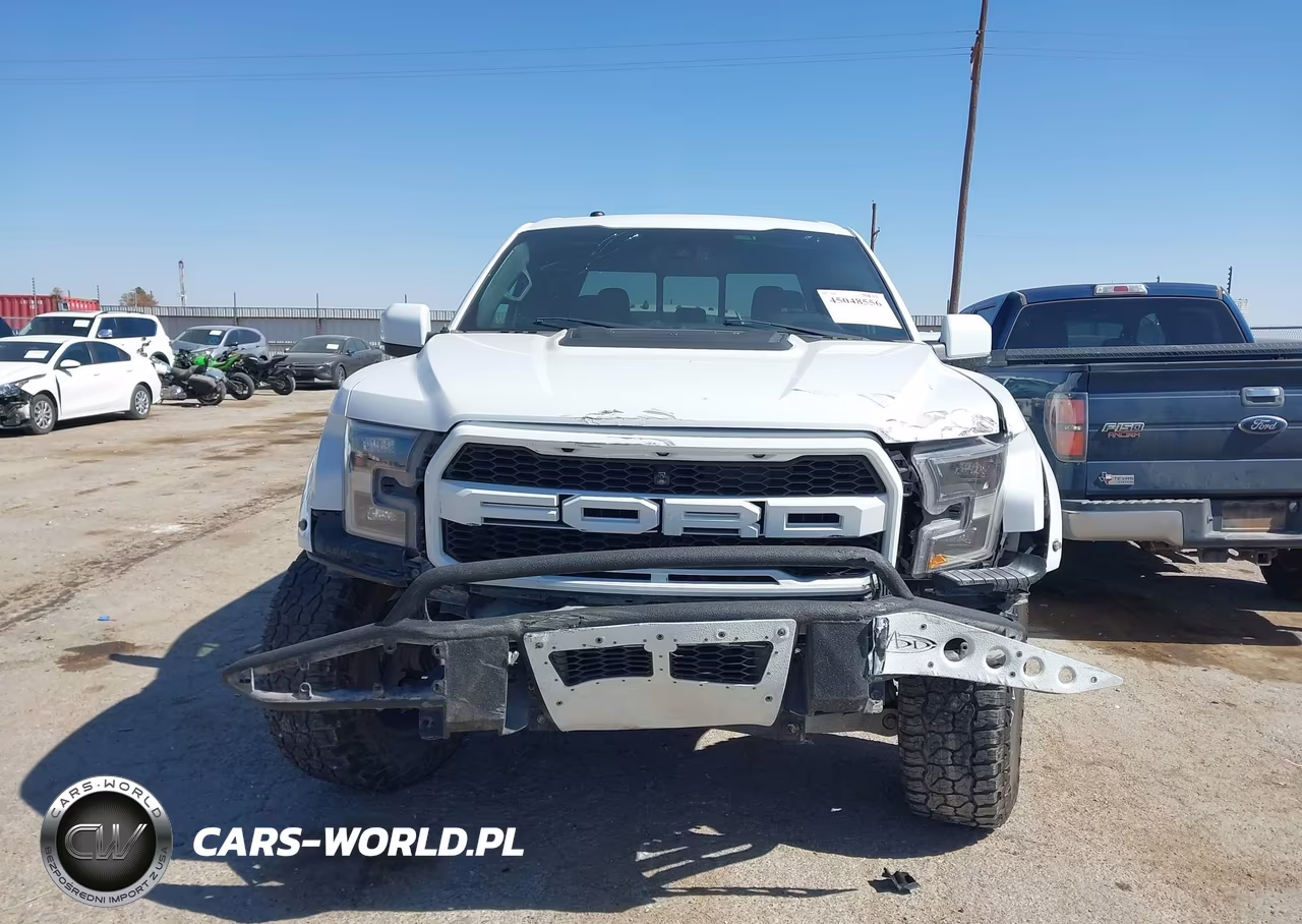 2018 Ford F-150 Raptor VIN:1FTFW1RG1JFE25854 - 12