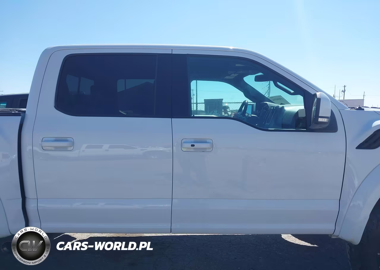 2018 Ford F-150 Raptor VIN:1FTFW1RG1JFE25854 - 13
