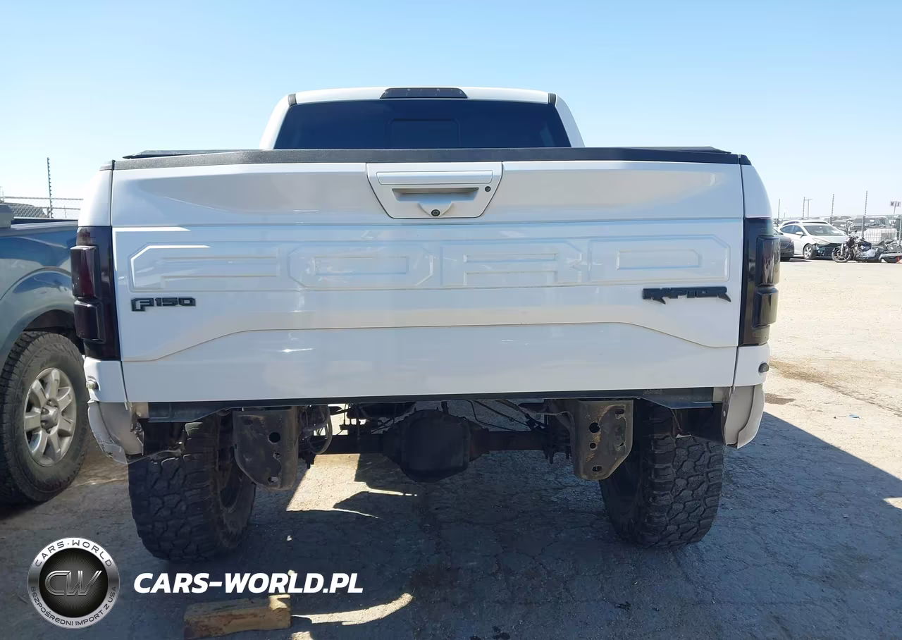 2018 Ford F-150 Raptor VIN:1FTFW1RG1JFE25854 - 16