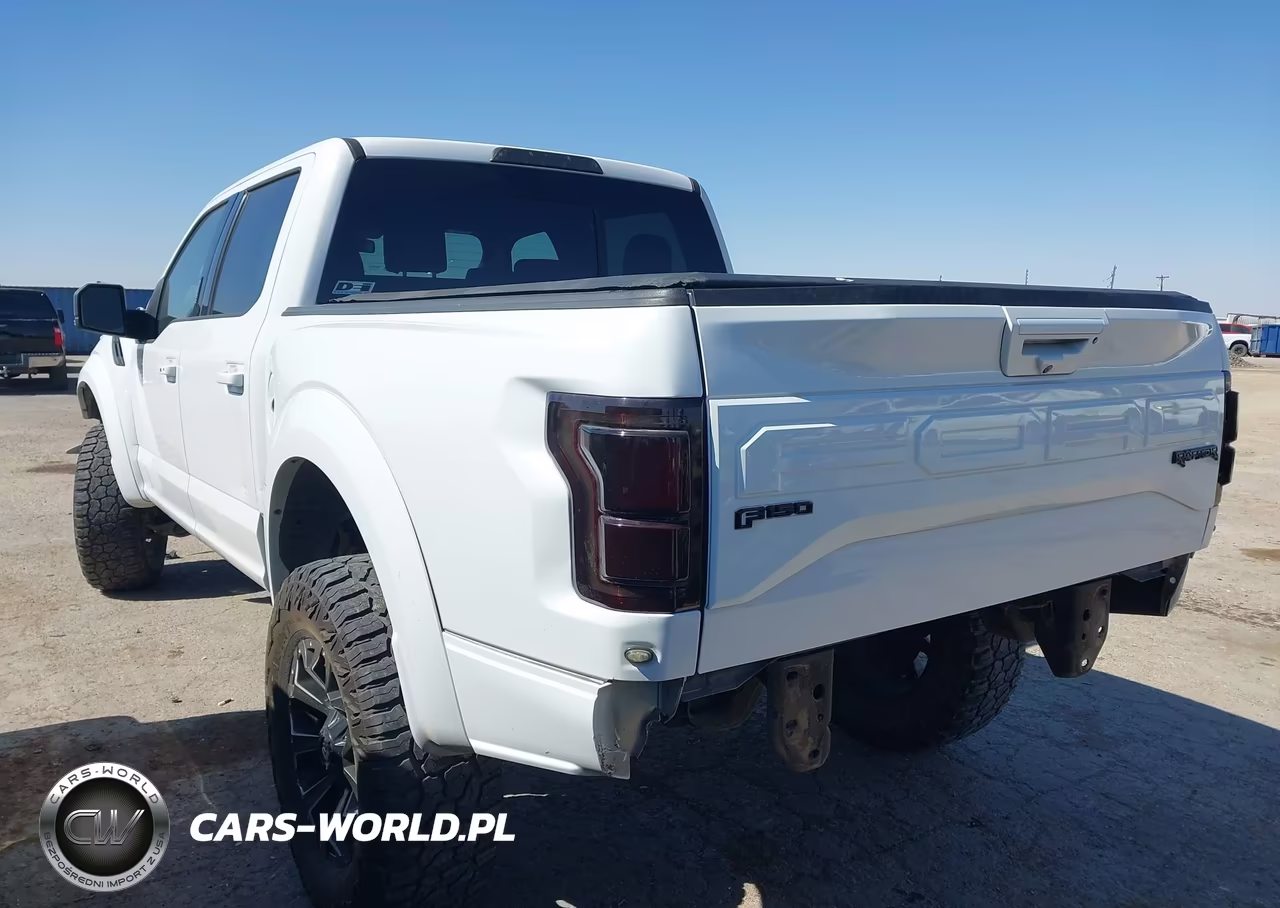 2018 Ford F-150 Raptor VIN:1FTFW1RG1JFE25854 - 3