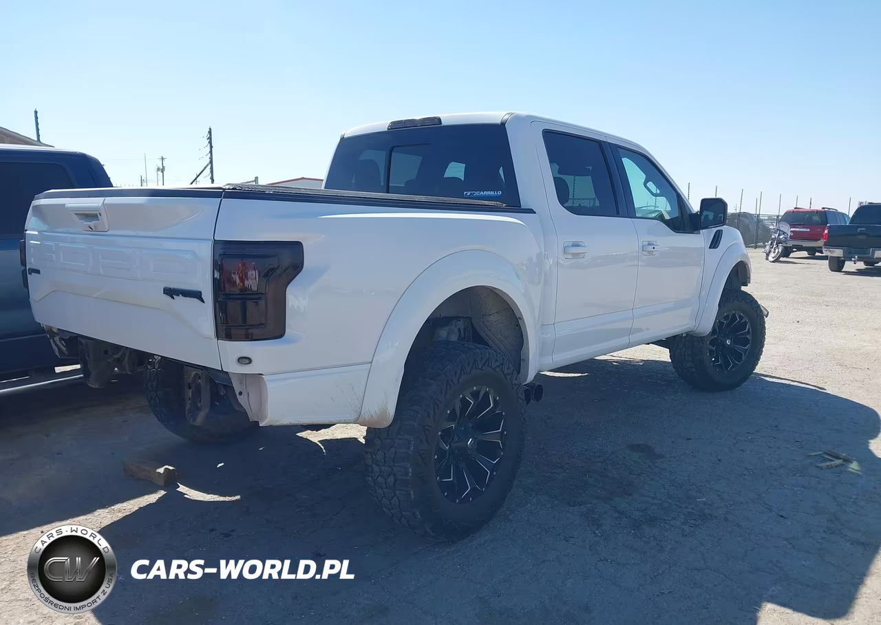 2018 Ford F-150 Raptor VIN:1FTFW1RG1JFE25854 - 4