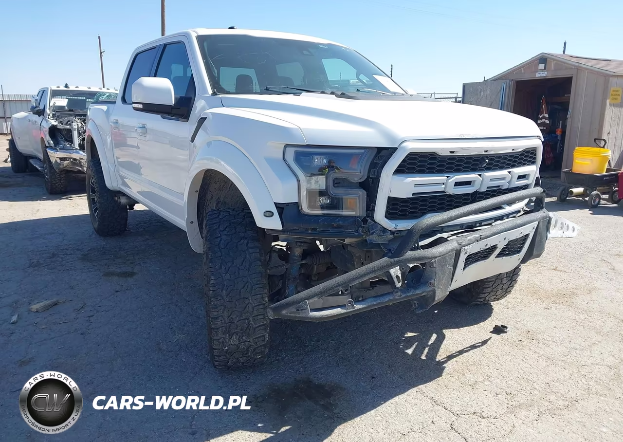 2018 Ford F-150 Raptor VIN:1FTFW1RG1JFE25854 - 6