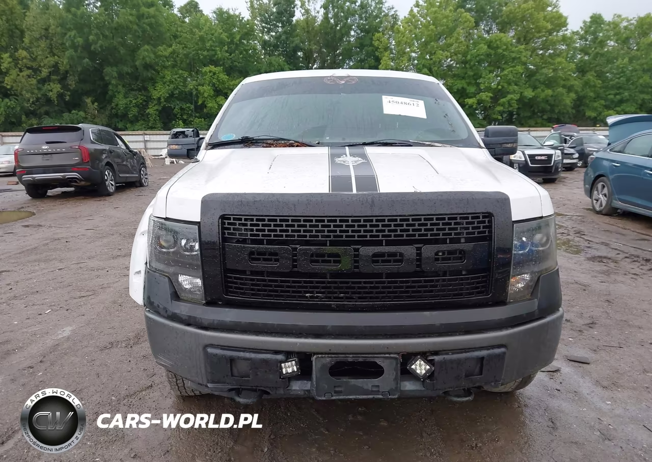 2009 Ford F-150 Fx4-Lariat-Xl-Xlt VIN:1FTPX14VX9FA96476 - 12