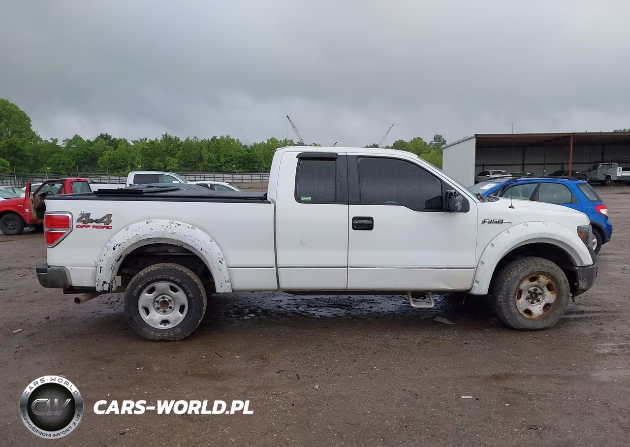 2009 Ford F-150 Fx4-Lariat-Xl-Xlt VIN:1FTPX14VX9FA96476 - 13