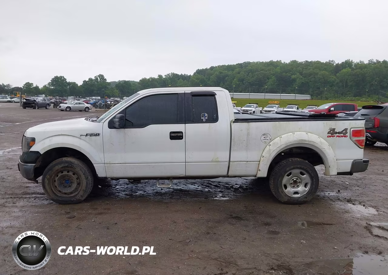 2009 Ford F-150 Fx4-Lariat-Xl-Xlt VIN:1FTPX14VX9FA96476 - 14
