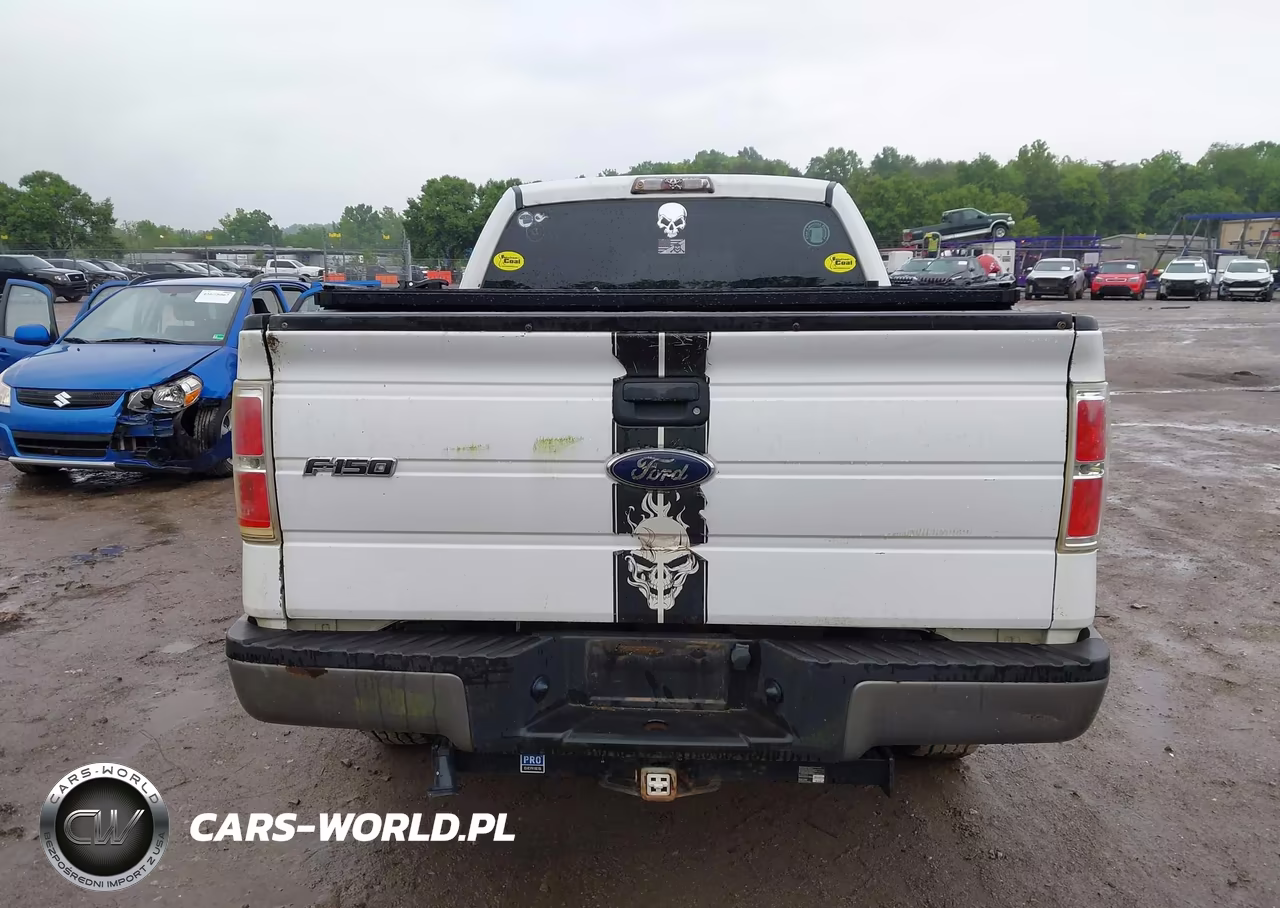 2009 Ford F-150 Fx4-Lariat-Xl-Xlt VIN:1FTPX14VX9FA96476 - 16