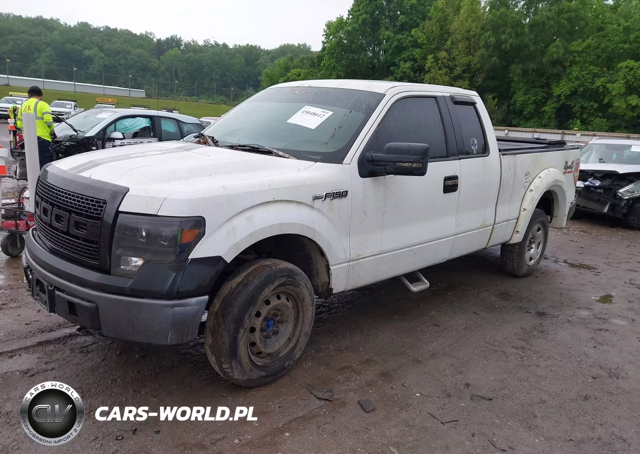 2009 Ford F-150 Fx4-Lariat-Xl-Xlt VIN:1FTPX14VX9FA96476 - 2