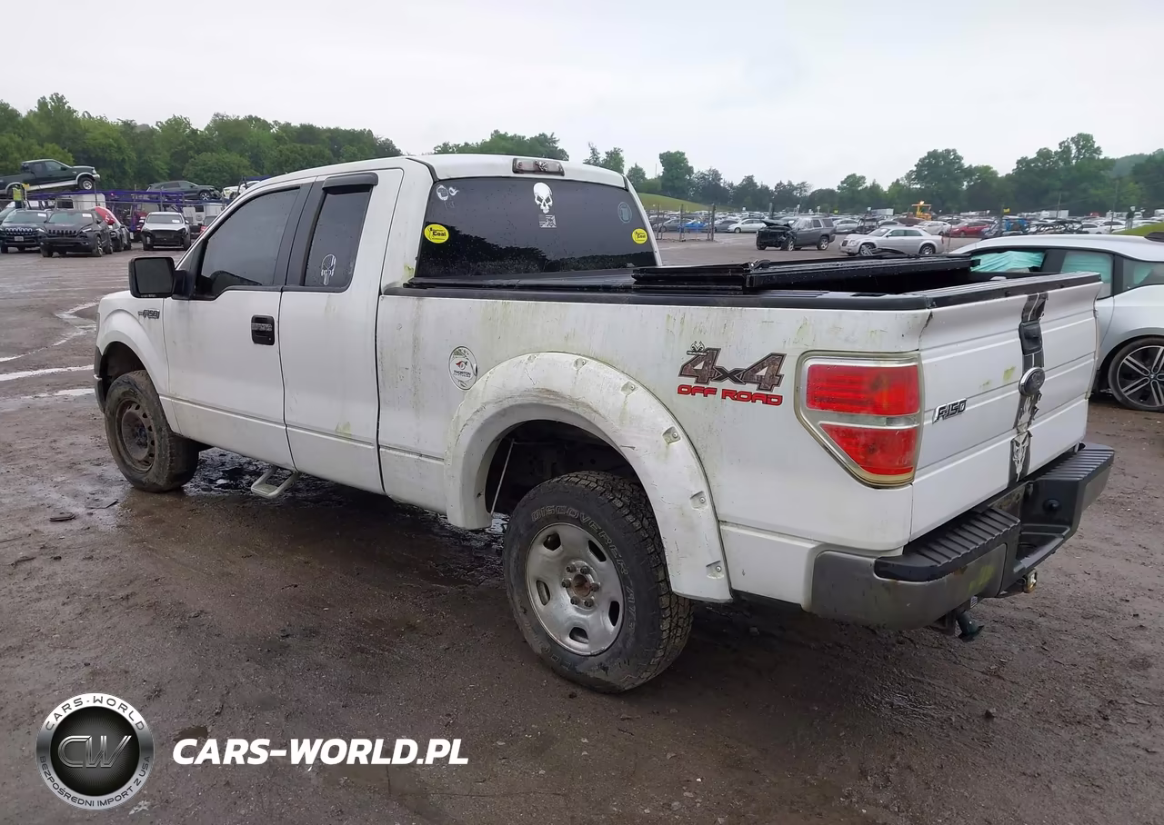 2009 Ford F-150 Fx4-Lariat-Xl-Xlt VIN:1FTPX14VX9FA96476 - 3