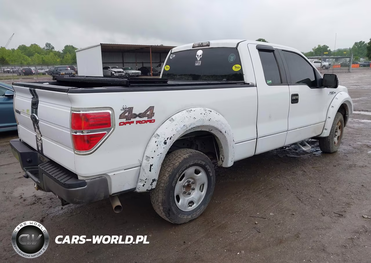 2009 Ford F-150 Fx4-Lariat-Xl-Xlt VIN:1FTPX14VX9FA96476 - 4