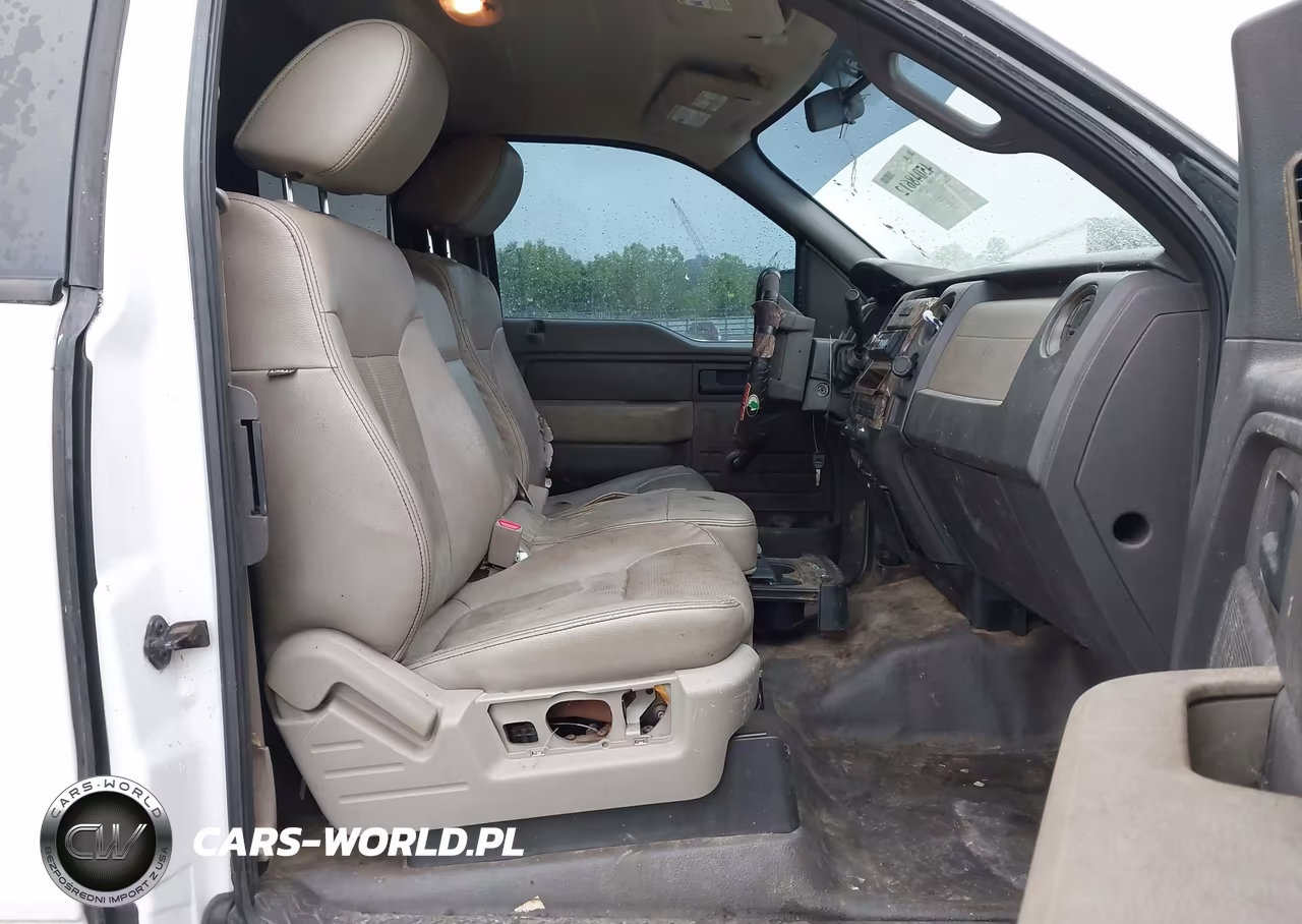 2009 Ford F-150 Fx4-Lariat-Xl-Xlt VIN:1FTPX14VX9FA96476 - 5