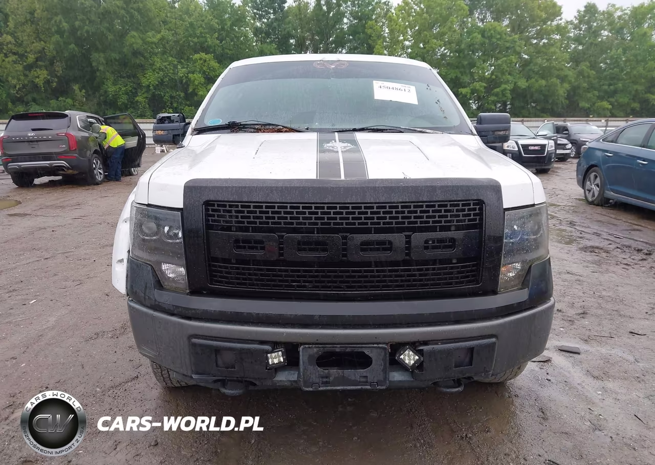 2009 Ford F-150 Fx4-Lariat-Xl-Xlt VIN:1FTPX14VX9FA96476 - 6