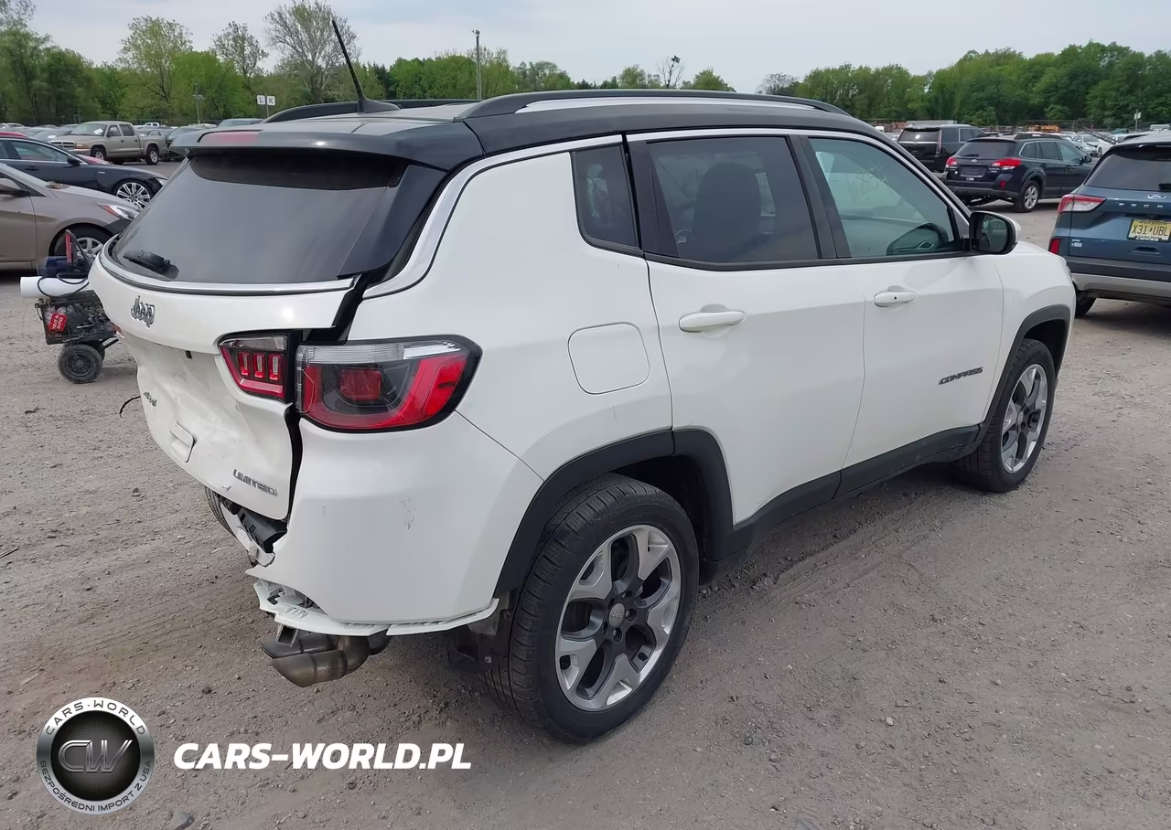 2020 Jeep Compass Limited 4X4 VIN:3C4NJDCB1LT131811 - 4