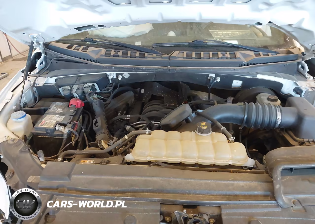 2019 Ford F-150 Xl VIN:1FTEX1C54KKF33605 - 10