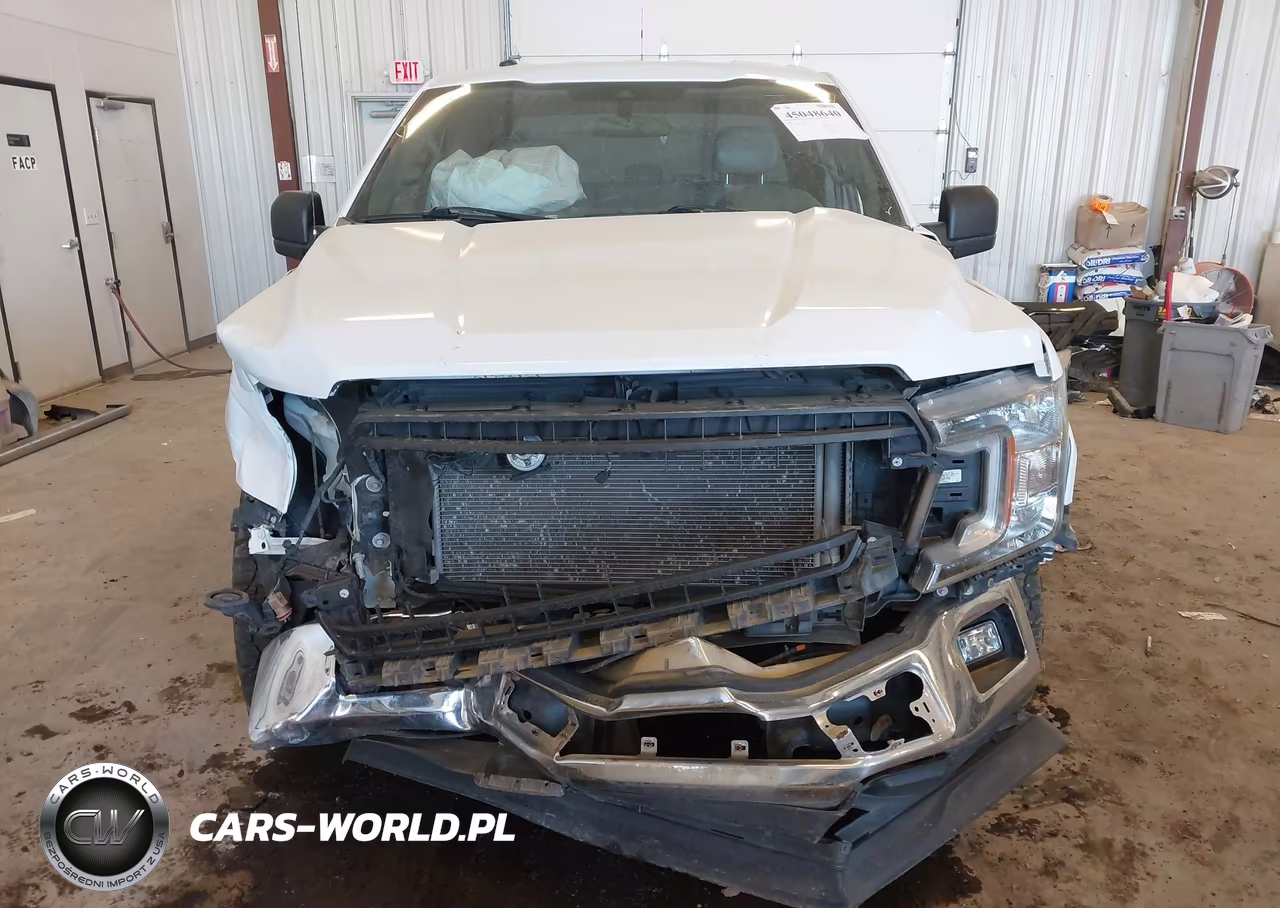 2019 Ford F-150 Xl VIN:1FTEX1C54KKF33605 - 12