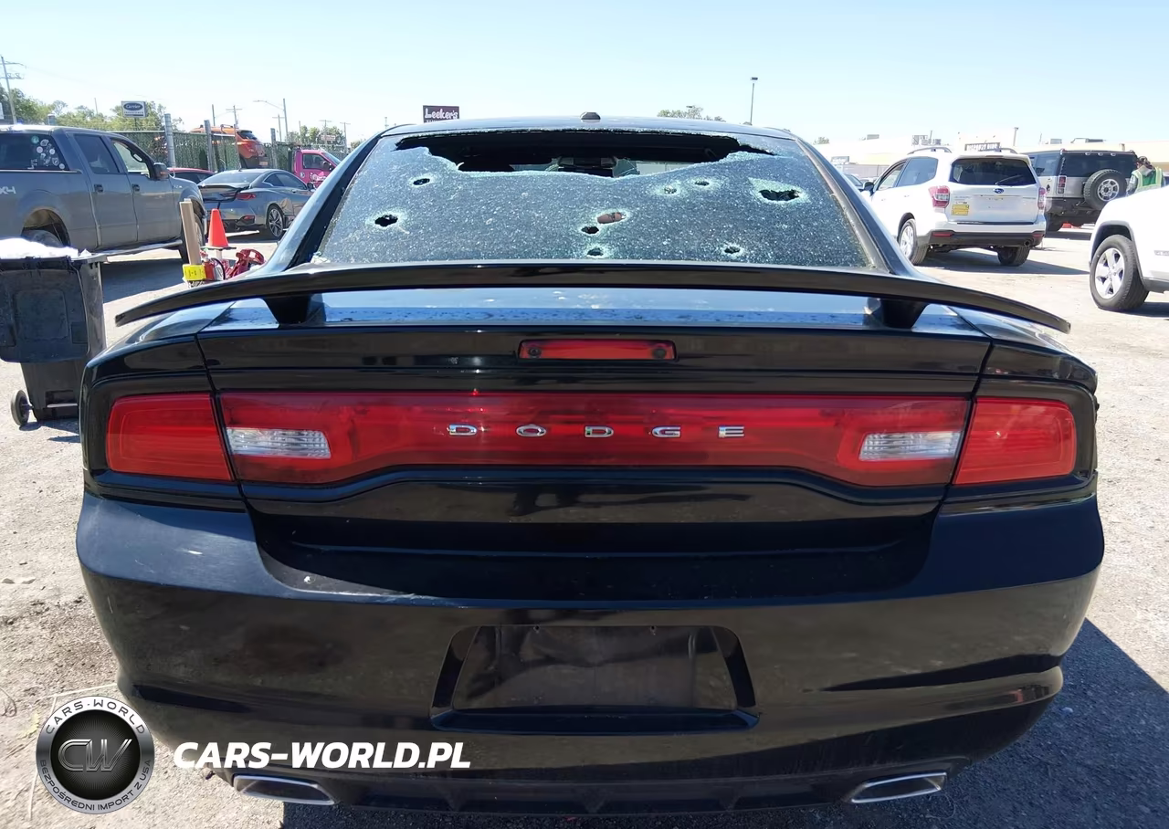 2014 Dodge Charger Sxt 100Th Anniversary VIN:2C3CDXHG2EH277588 - 6