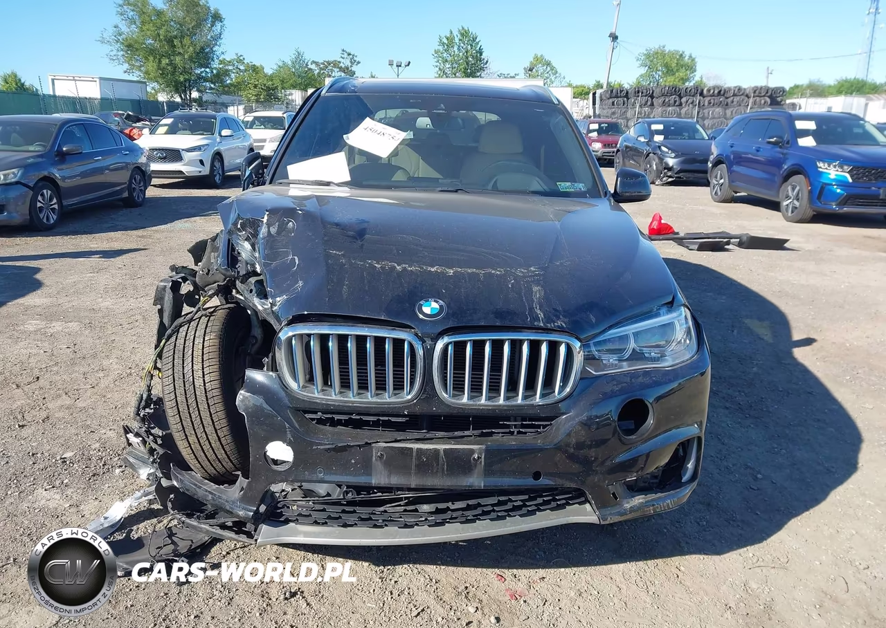 2018 BMW X5 Edrive xDrive40E Iperformance VIN:5UXKT0C53J0W02530 - 12