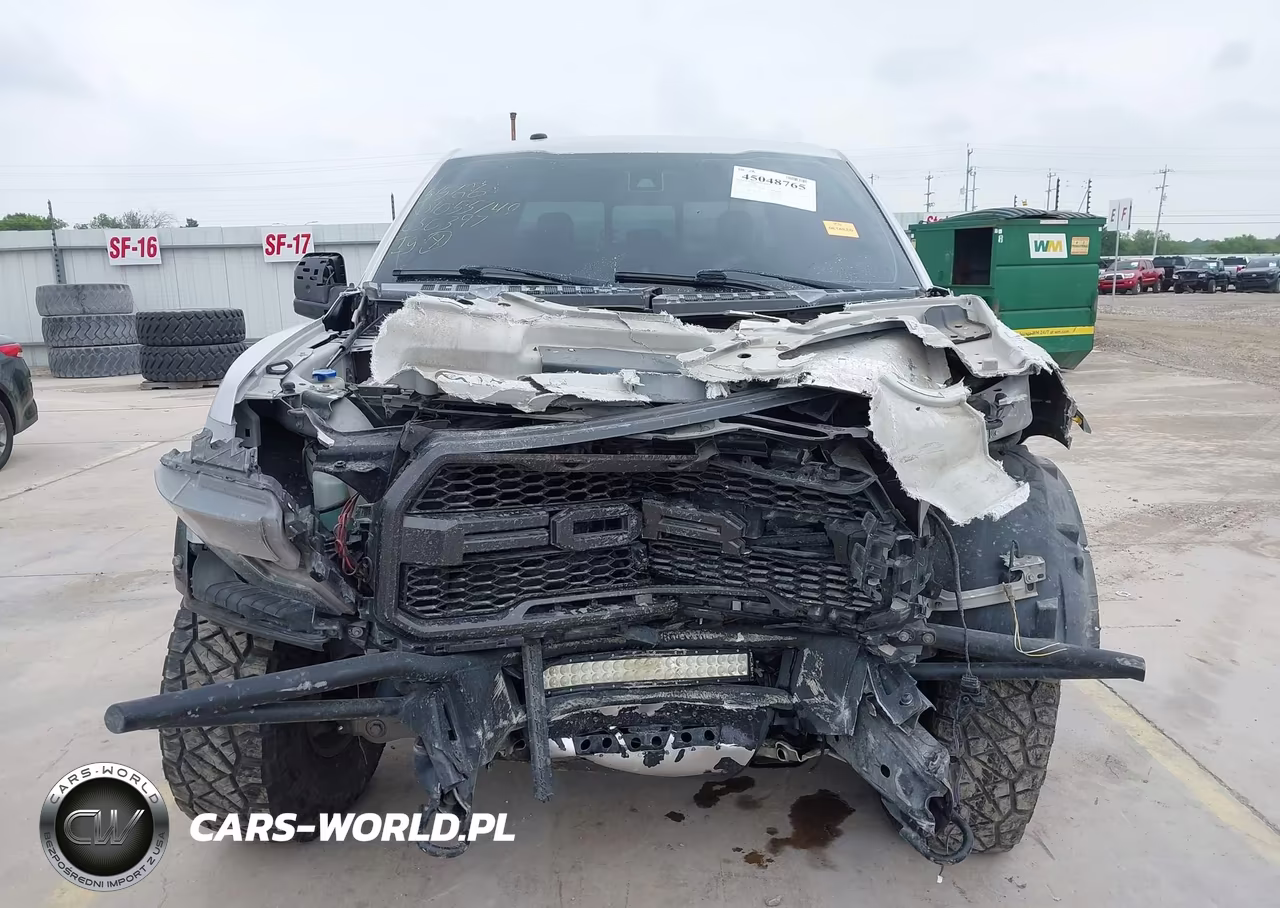 2017 Ford F-150 Raptor VIN:1FTFW1RG8HFC50397 - 13